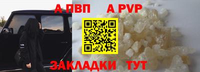 jwh Кингисепп