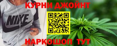 jwh Кингисепп
