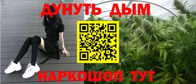 jwh Кингисепп