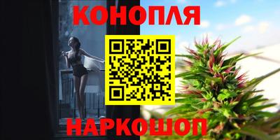 jwh Кингисепп