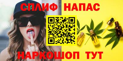 jwh Кингисепп