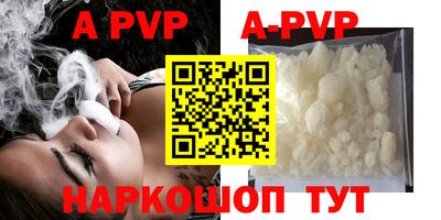jwh Кингисепп