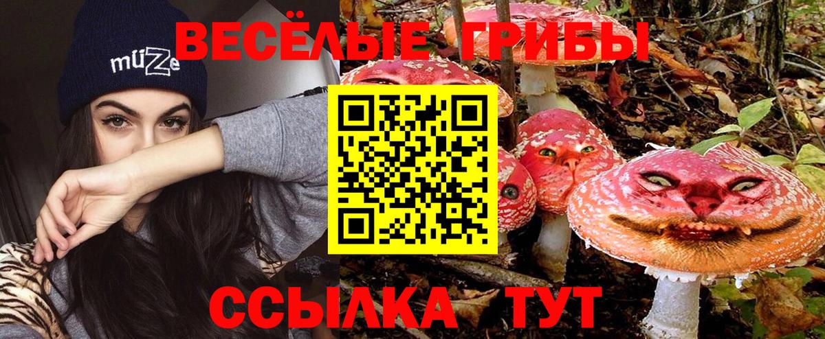 Галлюциногенные грибы ЛСД Красногорск