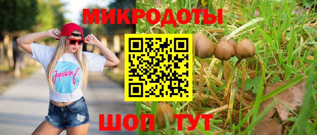 Красногорск  Галлюциногенные грибы Magic Shrooms  Вход с VPN 